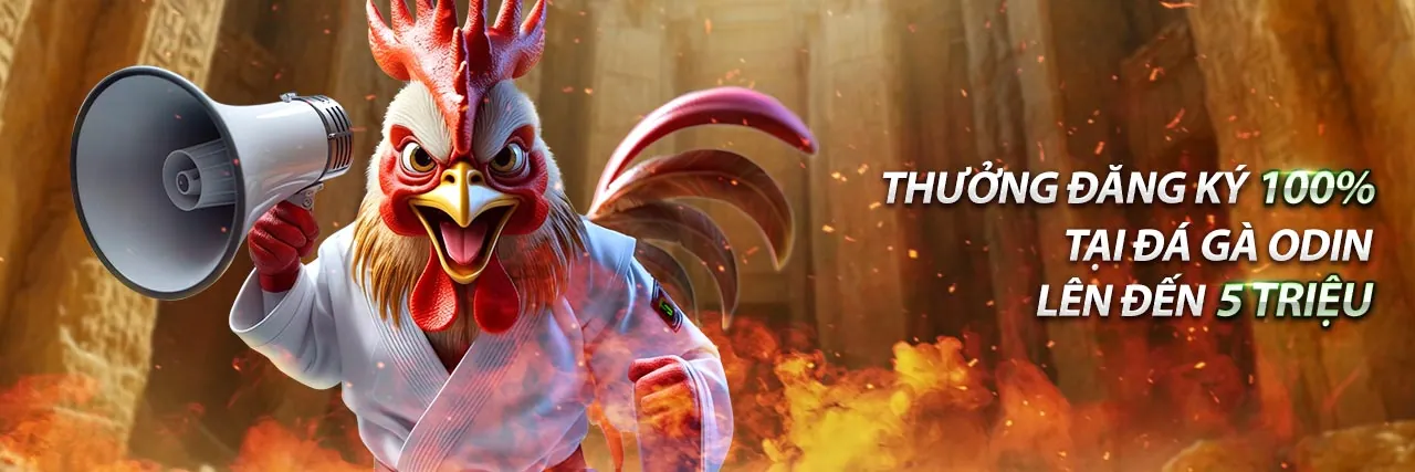 Đá gà trực tiếp cựa dao kịch tính tại WIN2026VN