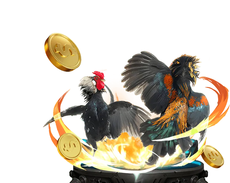 Nền tảng đá gà trực tiếp cựa dao uy tín